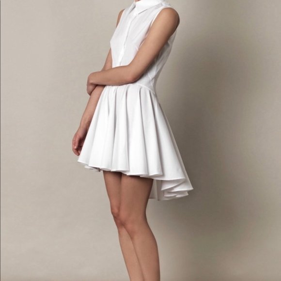 Authentic Alexander McQueen shirt dress - Picture 1 of 13